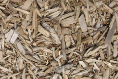 biomass boilers Rhydd