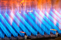 Rhydd gas fired boilers
